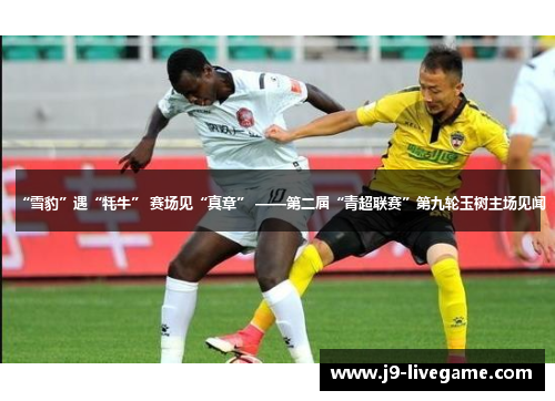 “雪豹”遇“牦牛” 赛场见“真章” ——第二届“青超联赛”第九轮玉树主场见闻